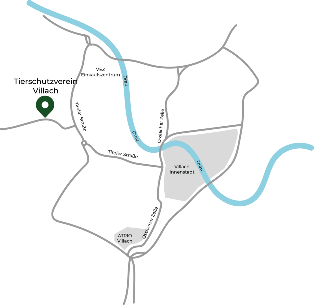 map-tierheim-villach-2